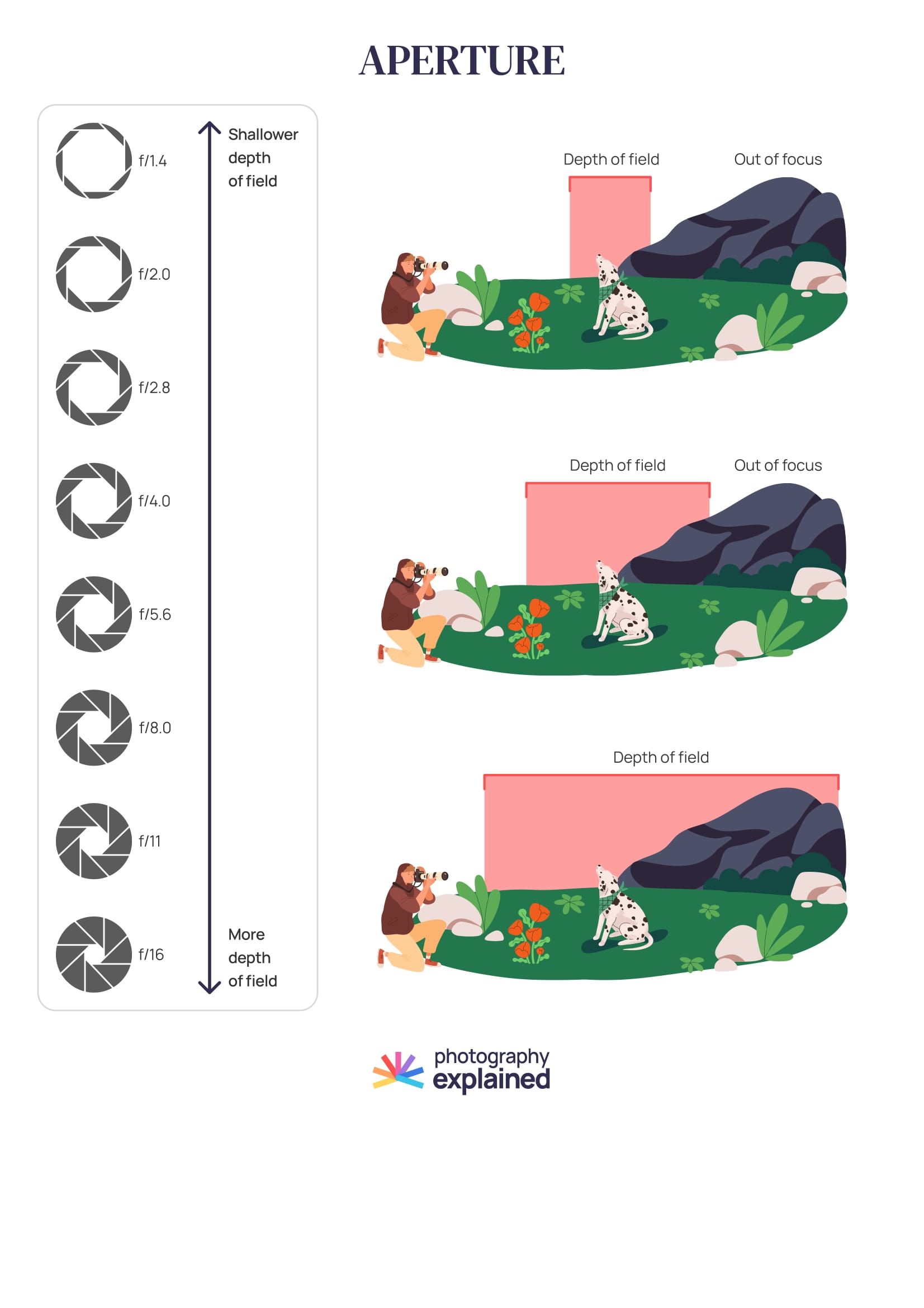 Cheat sheets download – Photography Explained – Start taking ...
