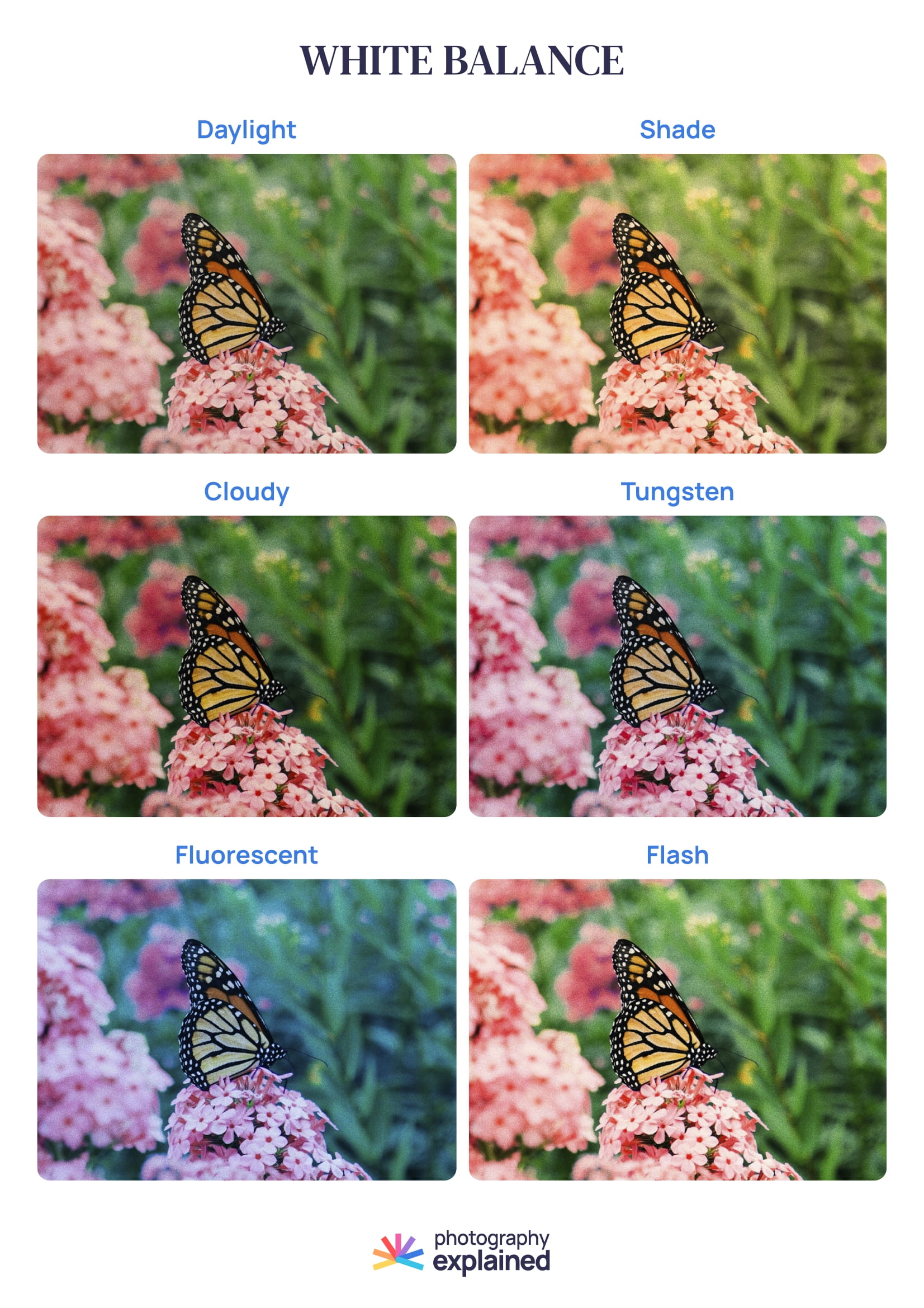 Cheat sheets download – Photography Explained – Start taking ...